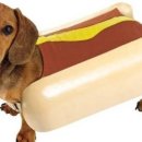 핫도그(HOTDOG) 이미지