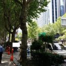 강남다가치번역행정사사무소 이미지