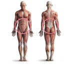 코어짐 피트니스 이미지