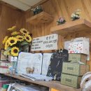 짐앤델라