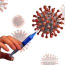 대성농업협동조합(하나로마트) 이미지