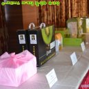 보성다비치콘도 이미지