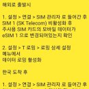 프린스텔레콤 | 일본도쿄여행 해외로밍 도시락eSIM 사용후기