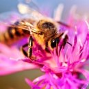 도담한의원 이미지