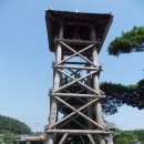 두동편백 이미지