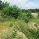 중로(보)2-1-3 이미지