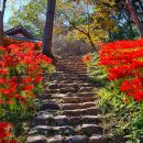 환벽당길 이미지