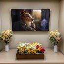 하늘별 이야기 이미지