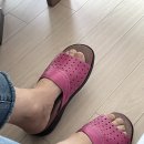 세창신발