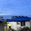 포리롱월정 이미지