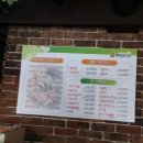 뽕잎사랑뽕잎냉면버섯샤브칼국수 이미지