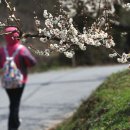 옛길가든 이미지