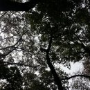 하늘연못 이미지