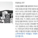리오텔 이미지