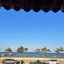 망상오토캠핑리조트 | 동해시 망상오토캠핑리조트 난바다 102호 후기