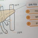 신진광택 이미지