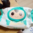 순둥이 오리지널 엘그린 아기물티슈 후기, 두껍고 촉촉해서 결국 이걸로 정착함