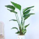 센스이비인후과의원 이미지