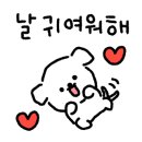 소풍애견호텔