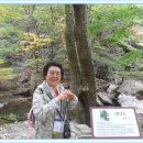 행복메드 이미지