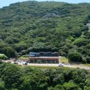 치유의 숲 이미지