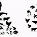 별에별꼴협동조합 이미지