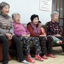 송정리 경로당 Daum카페