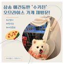 멍멍키친 | [경기 고양] 삼송 애견동반 ‘수키친’ 오므라이스 가게 재방문 후기!