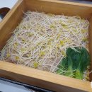 사직역 1번 출구 | 사직동 샤브샤브 편백찜을 한 번에 사직역 맛집 샤브테이 소고기