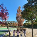 장안천가족휴게공원 이미지