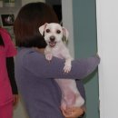 태전동물병원 이미지