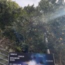 빛, 소리 Ⅰ | 청주 전시, 당산 생각의 벙커 MMCA X CMOA 청주 프로젝트 &lt;벙커: 어둠에서 빛으로&gt;