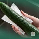 자매야채 이미지