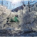 자연과 사람들 이미지