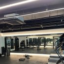 솔리드짐 PT 이미지