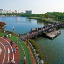 고양시청 주변 도로 이미지