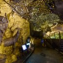 광명동굴 이미지