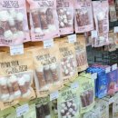 도그마캣청주성화점