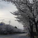 길천산업로 이미지