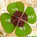 한잔의추억 Daum카페