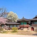 북페이스