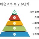 메슬로우 욕구5단계 이미지