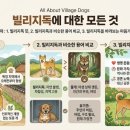 빌리지독 이미지