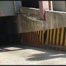 캣츠하우스 티스토리