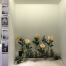 벨라루시 펫살롱 이미지