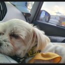 GS25 건대제일점 이미지