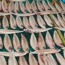 군산박대삼촌 이미지