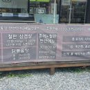 동강프로래프팅