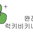 씨스테이 이미지