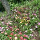 구산근린공원 이미지